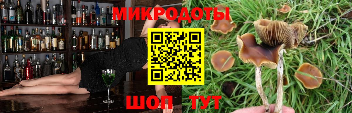 Галлюциногенные грибы прущие грибы Холмск